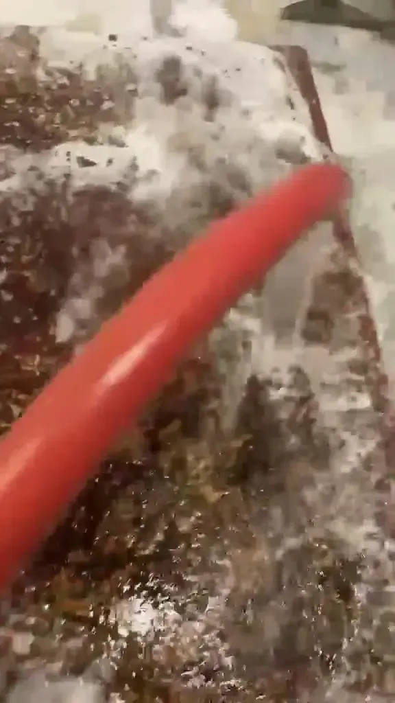 Tuyau rouge posé sur un tapis recouvert de mousse et de particules brunes